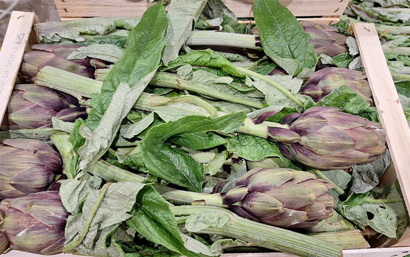 Carciofo, Italia 0,60-0,70 euro al capolino